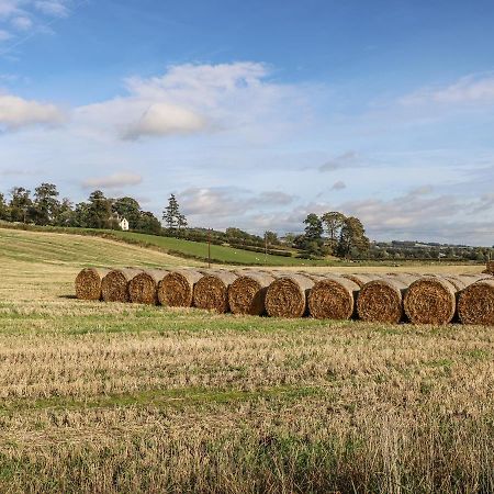 Bonjedward Mill Farm Cottage ジェドバラ エクステリア 写真