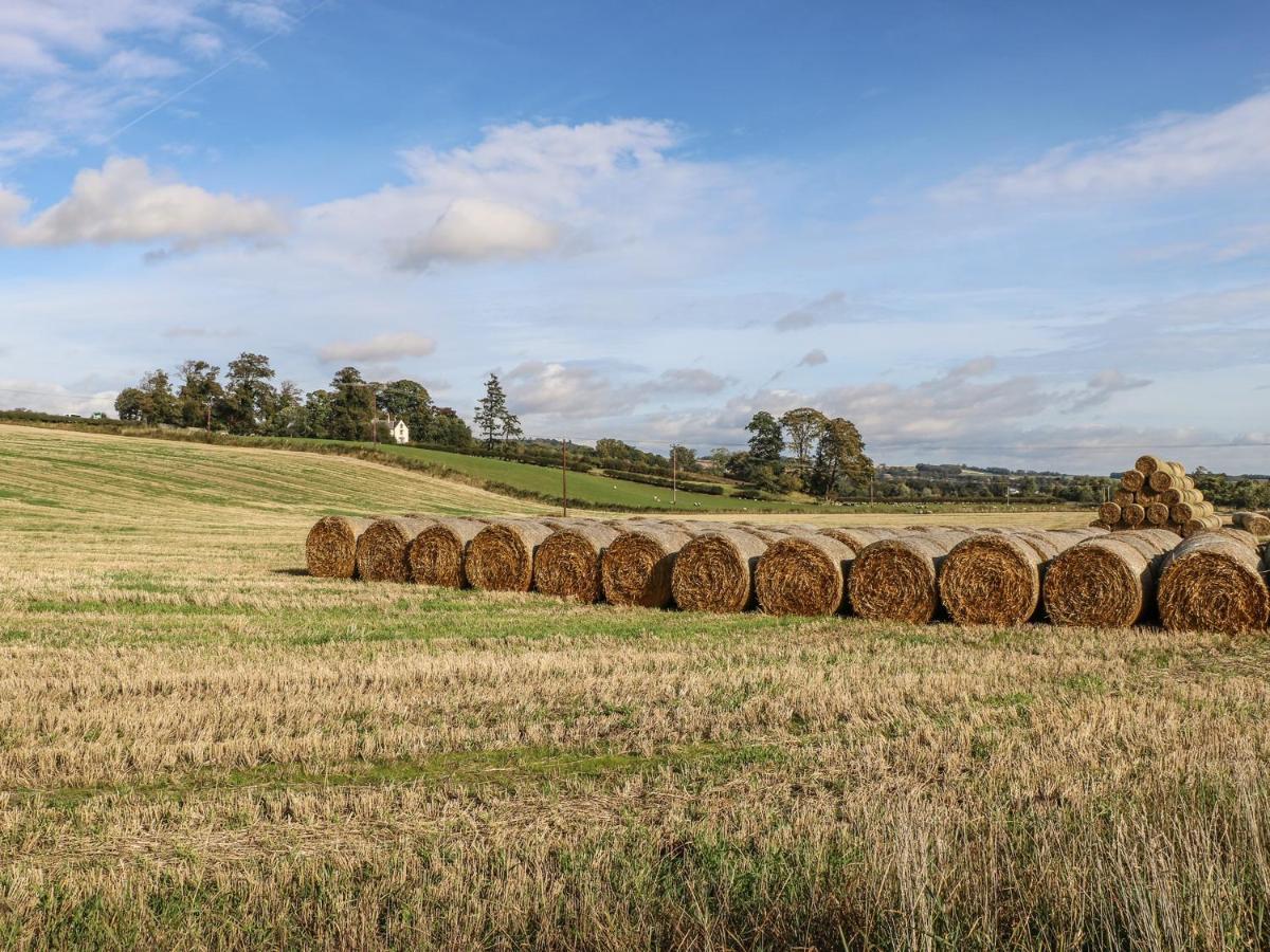 Bonjedward Mill Farm Cottage ジェドバラ エクステリア 写真