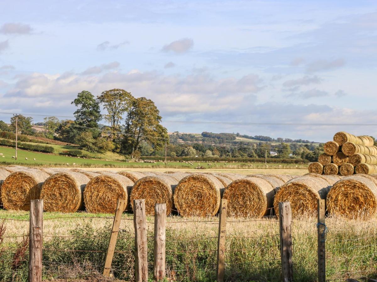 Bonjedward Mill Farm Cottage ジェドバラ エクステリア 写真